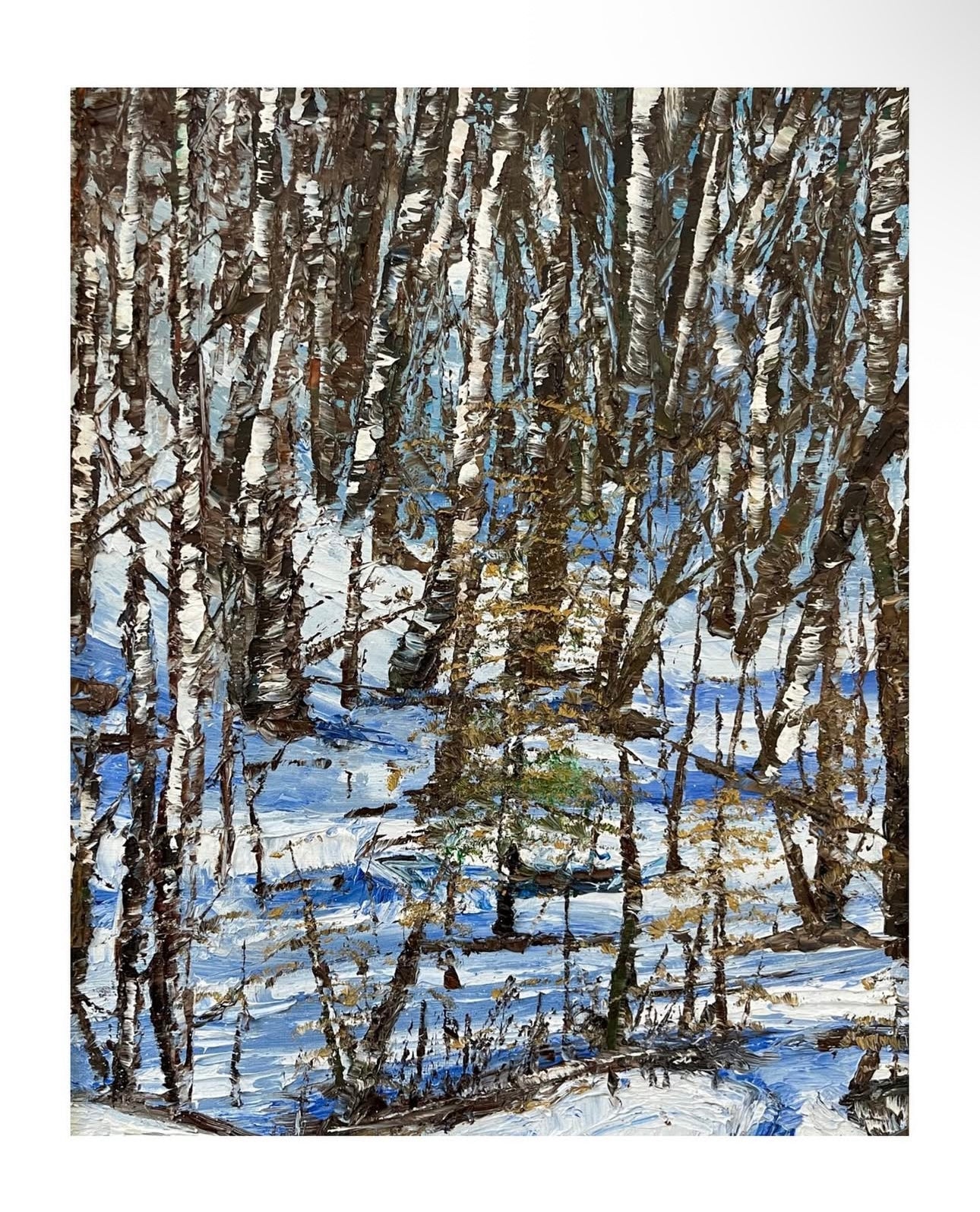 “Birch Forest” print